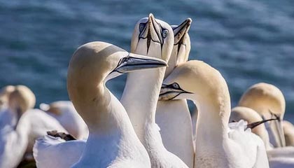 开云体育官网登入-【青训基地】培养未来明星的青训体系揭秘，青训新星