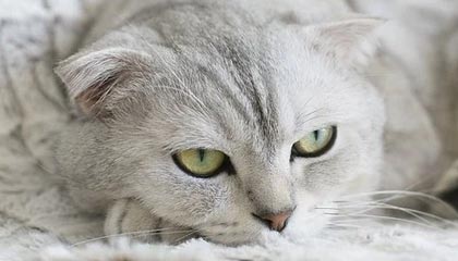 开云体育官网登入-【青训基地】培养未来明星的青训体系揭秘，青训新星