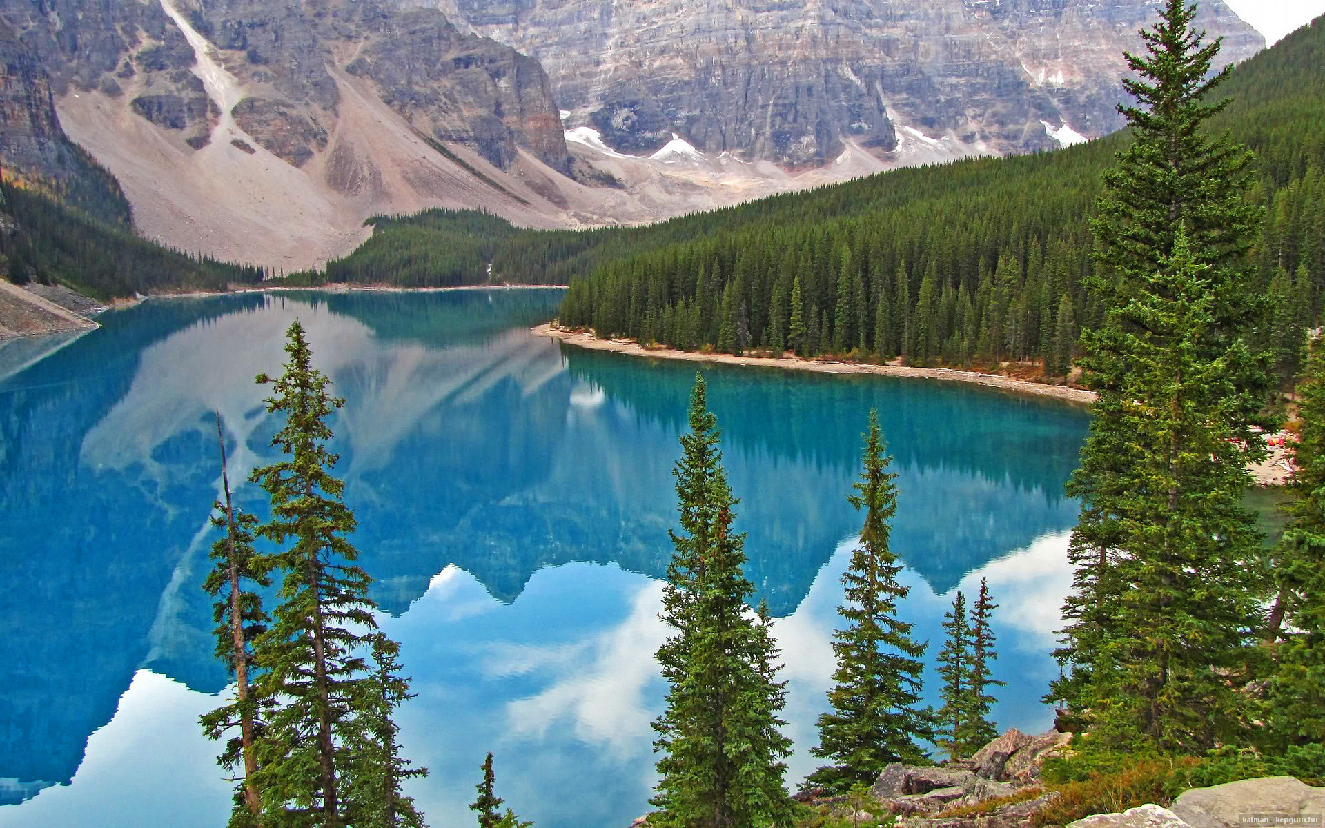 科里·简:其独特的边锋打法,成为全黑队无懈可击的战术选择,科里纳绰号