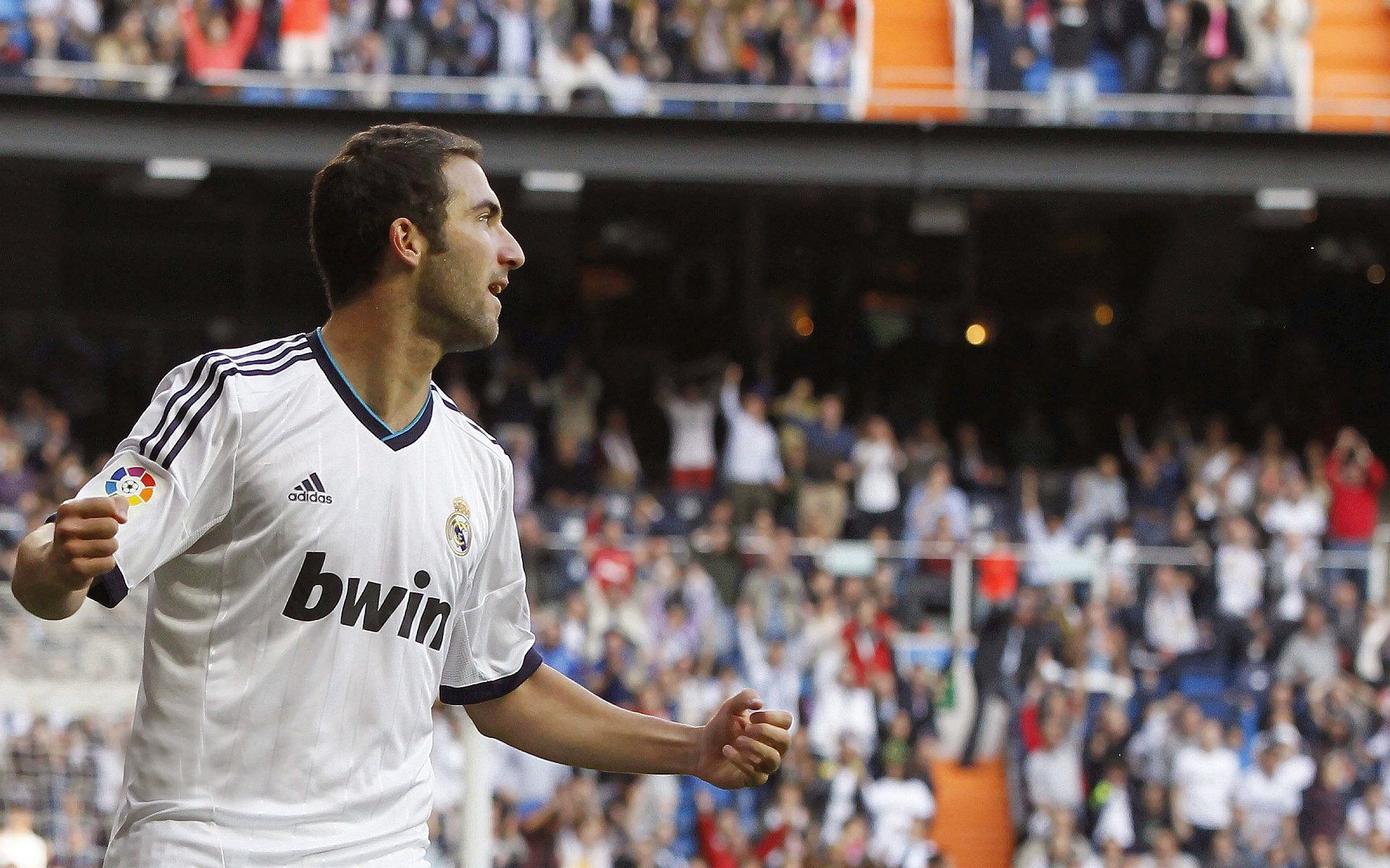 全民脚步行动：用脚步丈量城市心跳